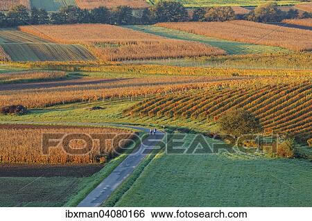 Herbstliche Weinberge, Neckenmarkt, Mittelburgenland, Burgenland, Osterreich, Europa View Large Photo Image Stock Photograph - Herbstliche Weinberge, Neckenmarkt, Mittelburgenland, Burgenland, Osterreich, Europa. Fotosearch