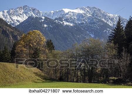 Hintersteiner Tal, hinten schneebedeckte Allgauer Berge, Herbststimmung, bei Hinterstein, Allgau, Bayern, Deutschland, Europa View Large Photo Image Stock Photo - Hintersteiner Tal, hinten schneebedeckte Allgauer Berge, Herbststimmung, bei Hinterstein, Allgau, Bayern, Deutschland, Europa. Fotosearch