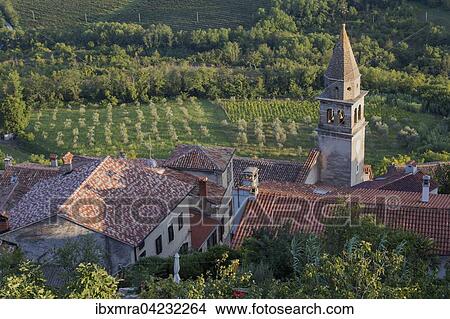 Idyllisches Dorf mit venezianischem Kirchturm von oben, hinten Weinreben, Motovun, Istrien, Kroatien, Europa View Large Photo Image Picture - Idyllisches Dorf mit venezianischem Kirchturm von oben, hinten Weinreben, Motovun, Istrien, Kroatien, Europa. Fotosearch