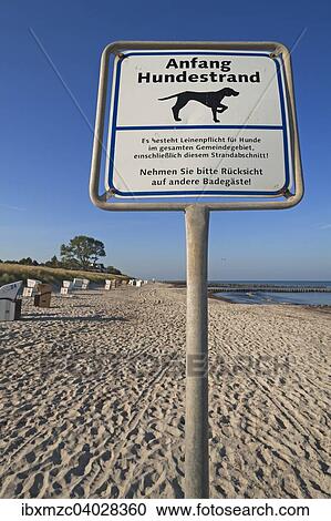 Stock Image - Informationsschild, Anfang des Hundestrands, Ahrenshoop, Darss, Fischland-Darss-Zingst, Mecklenburg-Vorpommern, Deutschland, Europa. Fotosearch