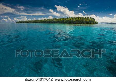 Stock Image - Insel, Atoll Ant, Pohnpei, Mikronesien, Ozeanien. Fotosearch