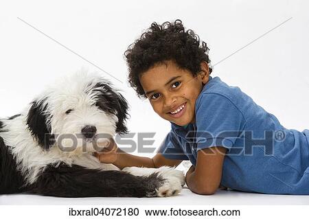 Junge, 8 Jahre, schmust mit einem Bobtail, Old English Sheepdog, Junghund, 4 Monate View Large Photo Image Stock Image - Junge, 8 Jahre, schmust mit einem Bobtail, Old English Sheepdog, Junghund, 4 Monate. Fotosearch