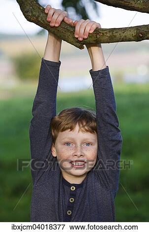 Stock Photo - Junge hangt an einem Baum, Wandersleben, Thuringen, Deutschland, Europa. Fotosearch