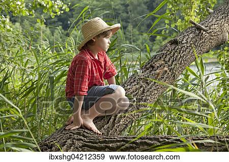 Stock Photo - Junge sitzt auf Baum, Mecklenburg-Vorpommern, Deutschland, Europa. Fotosearch