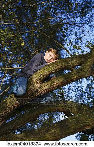 Picture - Junge sitzt auf Baum, Wandersleben, Thuringen, Deutschland, Europa. Fotosearch