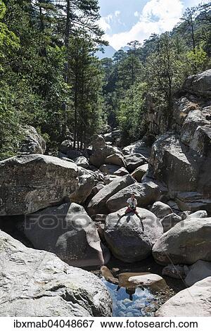 Junger Mann sitzt auf Felsen am Calenzana-Fluss, Berglandschaft, Wanderweg zum Refuge de Carrozzu, Kiefernwald Foret de Bonifatu, Korsika, Frankreich, Europa View Large Photo Image Stock Photo - Junger Mann sitzt auf Felsen am Calenzana-Fluss, Berglandschaft, Wanderweg zum Refuge de Carrozzu, Kiefernwald Foret de Bonifatu, Korsika, Frankreich, Europa. Fotosearch