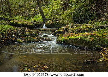 Kajabach, Herbst, Nationalpark Thayatal, Niederosterreich, Osterreich, Europa View Large Photo Image Stock Photo - Kajabach, Herbst, Nationalpark Thayatal, Niederosterreich, Osterreich, Europa. Fotosearch