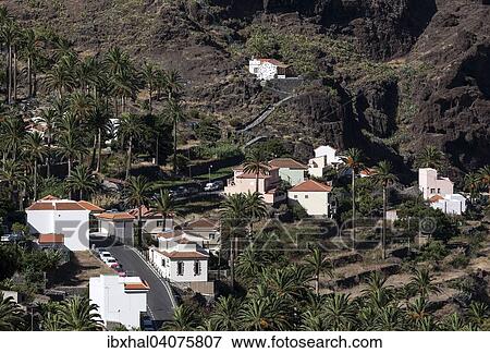 Kanarische Dattelpalmen (Phoenix canariensis), Terrassenfelder, Hauser, Los Reyes, Valle Gran Rey, La Gomera, Kanarische Inseln, Spanien, Europa View Large Photo Image Stock Photo - Kanarische Dattelpalmen (Phoenix canariensis), Terrassenfelder, Hauser, Los Reyes, Valle Gran Rey, La Gomera, Kanarische Inseln, Spanien, Europa. Fotosearch