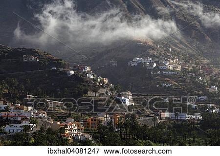 Kanarische Dattelpalmen (Phoenix canariensis), Terrassenfelder, Wolken, Ortschaften im oberen Valle Gran Rey, La Gomera, Kanarische Inseln, Spanien, Europa View Large Photo Image Stock Photo - Kanarische Dattelpalmen (Phoenix canariensis), Terrassenfelder, Wolken, Ortschaften im oberen Valle Gran Rey, La Gomera, Kanarische Inseln, Spanien, Europa. Fotosearch