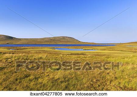 Karge Landschaft mit Wiesen und Gletscherseen, nahe Mageroya, Kommune Nordkap, Finnmark, Norwegen, Europa View Large Photo Image Stock Photography - Karge Landschaft mit Wiesen und Gletscherseen, nahe Mageroya, Kommune Nordkap, Finnmark, Norwegen, Europa. Fotosearch