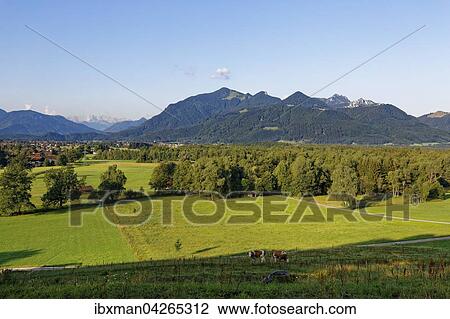 Kendlmuhlfilzen mit Grassau, Hochplatte und Kampenwand, Ausblick von Westerbuchberg, Chiemgauer Alpen, Chiemgau, Oberbayern, Bayern, Deutschland, Europa View Large Photo Image Stock Image - Kendlmuhlfilzen mit Grassau, Hochplatte und Kampenwand, Ausblick von Westerbuchberg, Chiemgauer Alpen, Chiemgau, Oberbayern, Bayern, Deutschland, Europa. Fotosearch