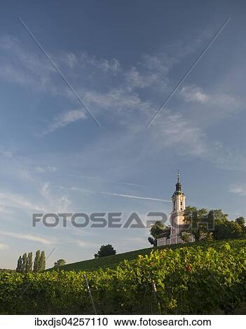 Stock Image - Kirche in den Weinbergen, Wallfahrtskirche und Kloster Birnau, Unteruhldingen, Bodensee, Baden-Wurttemberg, Deutschland, Europa. Fotosearch
