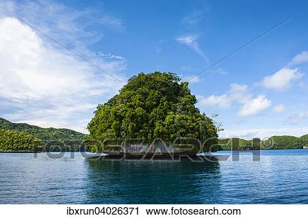 Kleine Insel, Chelbacheb-Inseln, auch Rock Islands, Palau, Mikronesien, Ozeanien View Large Photo Image Stock Image - Kleine Insel, Chelbacheb-Inseln, auch Rock Islands, Palau, Mikronesien, Ozeanien. Fotosearch