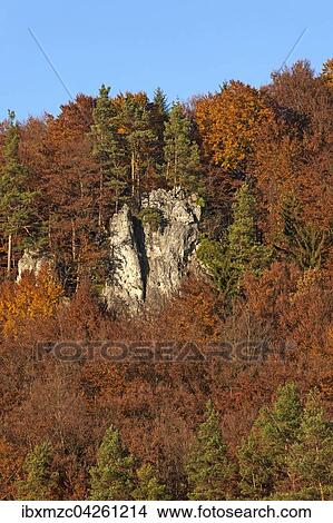 Kletterfelsen zwischen Buchen (Fagus sp. ) im Herbst, Frankische Schweiz, Oberfranken Bayern, Deutschland, Europa View Large Photo Image Picture - Kletterfelsen zwischen Buchen (Fagus sp. ) im Herbst, Frankische Schweiz, Oberfranken Bayern, Deutschland, Europa. Fotosearch