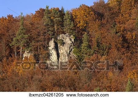 Kletterfelsen zwischen Buchen (Fagus sp. ) im Herbst, Frankische Schweiz, Oberfranken Bayern, Deutschland, Europa View Large Photo Image Stock Photography - Kletterfelsen zwischen Buchen (Fagus sp. ) im Herbst, Frankische Schweiz, Oberfranken Bayern, Deutschland, Europa. Fotosearch