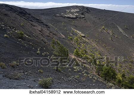 Krater des Vulkans de San Antonio, bei Fuencaliente, La Palma, Kanarische Inseln, Spanien, Europa View Large Photo Image Stock Image - Krater des Vulkans de San Antonio, bei Fuencaliente, La Palma, Kanarische Inseln, Spanien, Europa. Fotosearch
