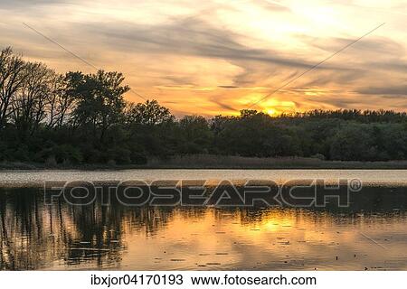 Kuhworther Wasser, Nationalpark Donau-Auen, bei Wien, Niederosterreich, Osterreich, Europa View Large Photo Image Stock Image - Kuhworther Wasser, Nationalpark Donau-Auen, bei Wien, Niederosterreich, Osterreich, Europa. Fotosearch