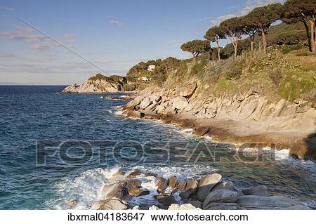 Kuste bei Sant' Andrea, Elba, Provinz Livorno, Toskana, Italien, Europa View Large Photo Image Stock Photo - Kuste bei Sant' Andrea, Elba, Provinz Livorno, Toskana, Italien, Europa. Fotosearch