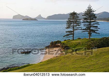 Kuste von Lord Howe Island, New South Wales, Australien, Ozeanien View Large Photo Image Stock Image - Kuste von Lord Howe Island, New South Wales, Australien, Ozeanien. Fotosearch