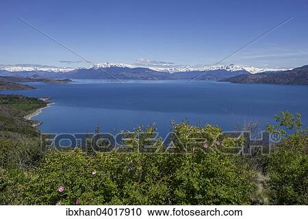 Lago General Carrera, Chile Chico, Region de Aysen, Chile, Sudamerika View Large Photo Image Stock Image - Lago General Carrera, Chile Chico, Region de Aysen, Chile, Sudamerika. Fotosearch