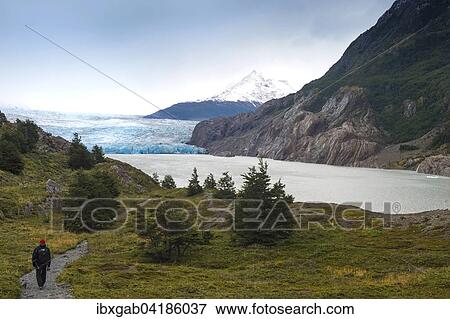 Lago Grey und Grey-Gletscher, Nationalpark Torres del Paine, Patagonien, Chile, Sudamerika View Large Photo Image Stock Photo - Lago Grey und Grey-Gletscher, Nationalpark Torres del Paine, Patagonien, Chile, Sudamerika. Fotosearch