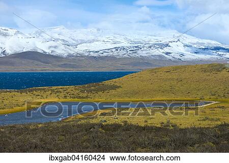 Landschaft im Nationalpark Torres del Paine, Patagonien, Chile, Sudamerika View Large Photo Image Picture - Landschaft im Nationalpark Torres del Paine, Patagonien, Chile, Sudamerika. Fotosearch