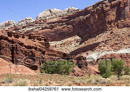 Landschaft und Gesteinsformationen bei Fruita, Capitol Reef Nationalpark, Utah, USA, Nordamerika View Large Photo Image Stock Image - Landschaft und Gesteinsformationen bei Fruita, Capitol Reef Nationalpark, Utah, USA, Nordamerika. Fotosearch