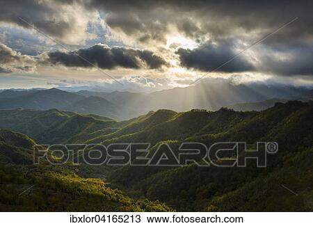 Lichtstrahlen uber den Waldern in den Apenninen nach einem Sturm, Nationalpark Foreste Casentinesi, Emilia Romagna, Toskana, Italien, Europa View Large Photo Image Stock Image - Lichtstrahlen uber den Waldern in den Apenninen nach einem Sturm, Nationalpark Foreste Casentinesi, Emilia Romagna, Toskana, Italien, Europa. Fotosearch