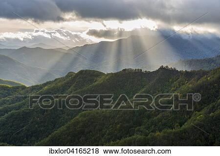Lichtstrahlen uber den Waldern in den Apenninen nach einem Sturm, Nationalpark Foreste Casentinesi, Emilia Romagna, Toskana, Italien, Europa View Large Photo Image Stock Photo - Lichtstrahlen uber den Waldern in den Apenninen nach einem Sturm, Nationalpark Foreste Casentinesi, Emilia Romagna, Toskana, Italien, Europa. Fotosearch