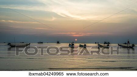 Longtail Boote im Meer bei Sonnenuntergang, Insel Koh Tao, Golf von Thailand, Thailand, Asien View Large Photo Image Stock Photography - Longtail Boote im Meer bei Sonnenuntergang, Insel Koh Tao, Golf von Thailand, Thailand, Asien. Fotosearch