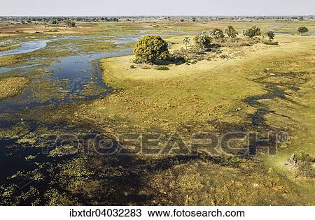 Stock Image - Luftbild, der Gomoti mit angrenzendem Frischwassersumpf mit einzelnen Roten Letschwes (Kobus leche leche), Okavango Delta, Botswana, Afrika. Fotosearch