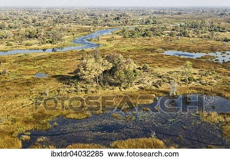 Stock Photography - Luftbild, der Gomoti mit angrenzendem Frischwassersumpf, Okavango Delta, Botswana, Afrika. Fotosearch