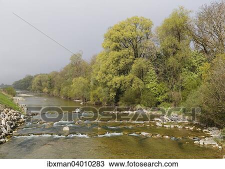 Mangfall, Bruckmuhl, Oberbayern, Bayern, Deutschland, Europa View Large Photo Image Stock Image - Mangfall, Bruckmuhl, Oberbayern, Bayern, Deutschland, Europa. Fotosearch