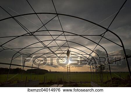 Mann auf einer Leiter beim Bau eines Stalles in der Abenddammerung im Gegenlicht, Mecklenburg-Vorpommern, Deutschland, Europa View Large Photo Image Stock Photograph - Mann auf einer Leiter beim Bau eines Stalles in der Abenddammerung im Gegenlicht, Mecklenburg-Vorpommern, Deutschland, Europa. Fotosearch