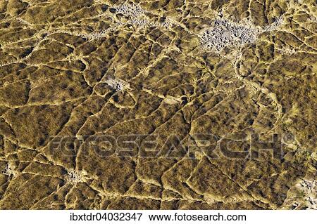Marschland mit Tierpfaden und kleinen schlammigen Teichen, Luftaufnahme, Okavango Delta, Moremi-Wildreservat, Botswana, Afrika View Large Photo Image Stock Photo - Marschland mit Tierpfaden und kleinen schlammigen Teichen, Luftaufnahme, Okavango Delta, Moremi-Wildreservat, Botswana, Afrika. Fotosearch