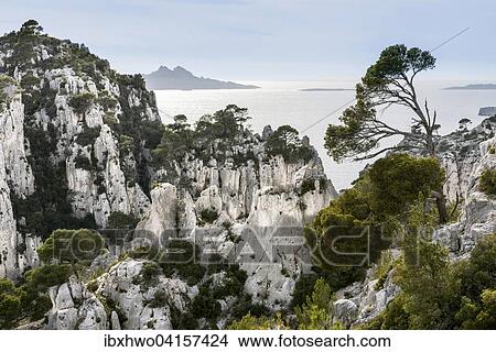 Picture - Massif des Calanques, Kalksteinfelsen, Nationalpark Calanques oder Parc national des Calanques, Vaufreges, Marseille, Provence-Alpes-Cote d'Azur, Frankreich, Europa. Fotosearch