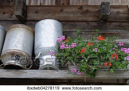 Milchkannen zum Trocknen an Berggasthof, Bauernhaus, Wildgerlostal, Nationalpark Hohe Tauern, Zillertal, Salzburger Land, Osterreich, Europa View Large Photo Image Stock Photo - Milchkannen zum Trocknen an Berggasthof, Bauernhaus, Wildgerlostal, Nationalpark Hohe Tauern, Zillertal, Salzburger Land, Osterreich, Europa. Fotosearch