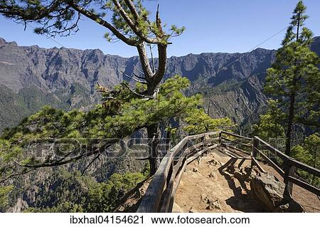 Mirador de las Chozas mit Ausblick in die Caldera de Taburiente, La Palma, Kanarische Inseln, Spanien, Europa View Large Photo Image Stock Image - Mirador de las Chozas mit Ausblick in die Caldera de Taburiente, La Palma, Kanarische Inseln, Spanien, Europa. Fotosearch