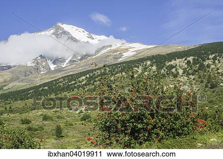 Monte Almirante Nieto, Torres del Paine Nationalpark, Region de Magallanes y de la Antartica Chilena, Chile, Sudamerika View Large Photo Image Stock Image - Monte Almirante Nieto, Torres del Paine Nationalpark, Region de Magallanes y de la Antartica Chilena, Chile, Sudamerika. Fotosearch