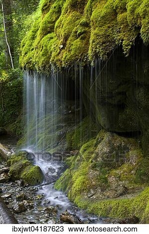 Moosbedeckter Wasserfall, Wutachschlucht, Schwarzwald, Baden-Wurttemberg, Deutschland, Europa View Large Photo Image Stock Image - Moosbedeckter Wasserfall, Wutachschlucht, Schwarzwald, Baden-Wurttemberg, Deutschland, Europa. Fotosearch