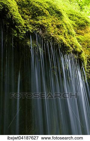 Moosbedeckter Wasserfall, Wutachschlucht, Schwarzwald, Baden-Wurttemberg, Deutschland, Europa View Large Photo Image Stock Photo - Moosbedeckter Wasserfall, Wutachschlucht, Schwarzwald, Baden-Wurttemberg, Deutschland, Europa. Fotosearch