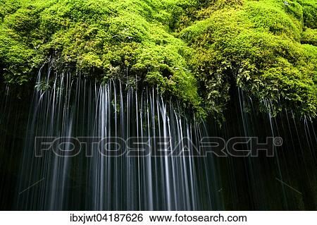 Moosbedeckter Wasserfall, Wutachschlucht, Schwarzwald, Baden-Wurttemberg, Deutschland, Europa View Large Photo Image Stock Photograph - Moosbedeckter Wasserfall, Wutachschlucht, Schwarzwald, Baden-Wurttemberg, Deutschland, Europa. Fotosearch