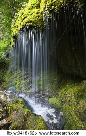 Moosbedeckter Wasserfall, Wutachschlucht, Schwarzwald, Baden-Wurttemberg, Deutschland, Europa View Large Photo Image Stock Photography - Moosbedeckter Wasserfall, Wutachschlucht, Schwarzwald, Baden-Wurttemberg, Deutschland, Europa. Fotosearch