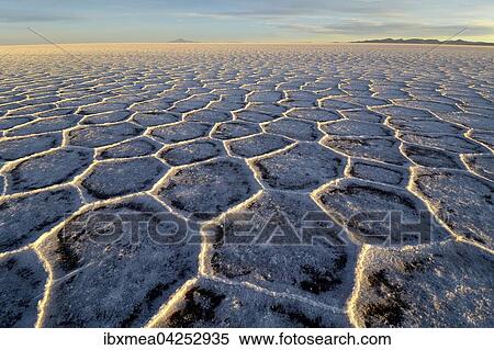 Morgenlicht in der Wabenstruktur des Salzsee Salar de Uyuni, Altiplano, Lipez, Bolivien, Sudamerika View Large Photo Image Stock Photography - Morgenlicht in der Wabenstruktur des Salzsee Salar de Uyuni, Altiplano, Lipez, Bolivien, Sudamerika. Fotosearch