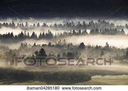 Morgennebel uber der Pupplinger Au im Naturschutzgebiet Isarauen, Wolfratshausen, Oberbayern, Bayern, Deutschland, Europa View Large Photo Image Stock Image - Morgennebel uber der Pupplinger Au im Naturschutzgebiet Isarauen, Wolfratshausen, Oberbayern, Bayern, Deutschland, Europa. Fotosearch