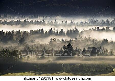 Morgennebel uber der Pupplinger Au im Naturschutzgebiet Isarauen, Wolfratshausen, Oberbayern, Bayern, Deutschland, Europa View Large Photo Image Stock Image - Morgennebel uber der Pupplinger Au im Naturschutzgebiet Isarauen, Wolfratshausen, Oberbayern, Bayern, Deutschland, Europa. Fotosearch