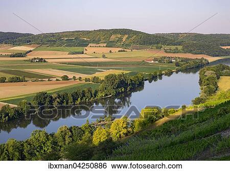 Morgenstimming am Main, Weinberg Kalbenstein bei Gambach, hinten der Mausberg, Gemeinde Karlstadt, Unterfranken, Franken, Bayern, Deutschland, Europa View Large Photo Image Stock Photograph - Morgenstimming am Main, Weinberg Kalbenstein bei Gambach, hinten der Mausberg, Gemeinde Karlstadt, Unterfranken, Franken, Bayern, Deutschland, Europa. Fotosearch