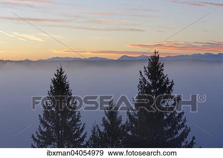 Morgenstimmung, Weisse Wand uber Pupplinger Au, Icking, Oberbayern, Bayern, Deutschland, Europa View Large Photo Image Stock Photo - Morgenstimmung, Weisse Wand uber Pupplinger Au, Icking, Oberbayern, Bayern, Deutschland, Europa. Fotosearch