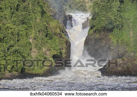 Picture - Murchison Falls, Murchison-Falls-Nationalpark, Uganda, Afrika. Fotosearch