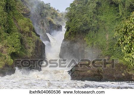 Stock Photograph - Murchison Falls, Murchison-Falls-Nationalpark, Uganda, Afrika. Fotosearch